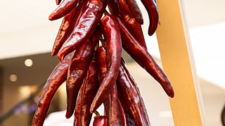 Spice it up: Four types of chillies to elevate your cooking