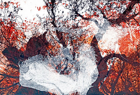 This New Delhi gallery kicks off its 35th-anniversary celebrations 
