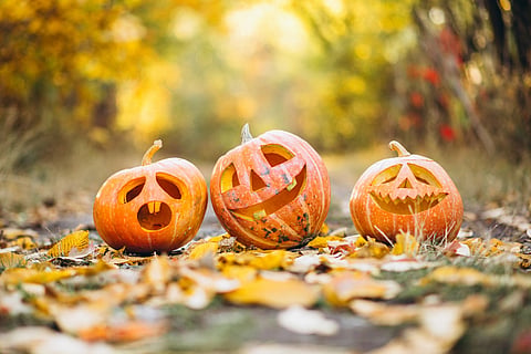 Five classic Halloween films to watch