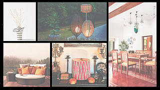 Green your space: Transform your home with eco-friendly wonders