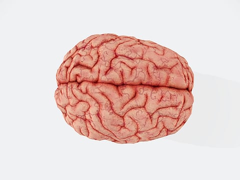 Best foods for brain health