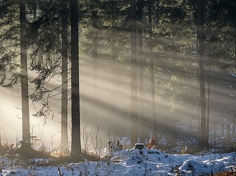 Beating The Winter Blues: Stay positive through the chill