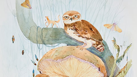 Forest owlets 