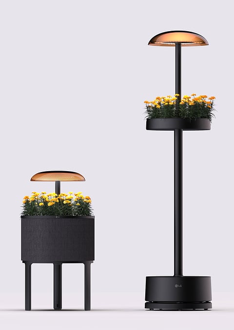 LG Indoor Gardening
