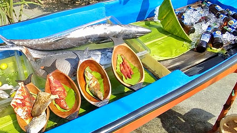 Catch of the day