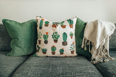 The biophilic home decor trend and how it gained popularity