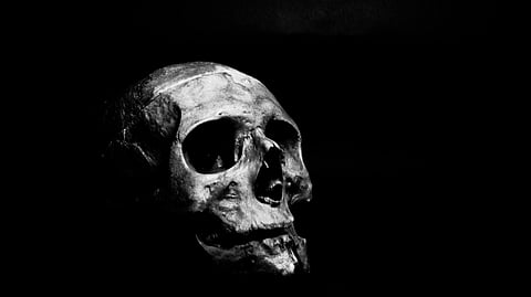 Wench Film Festival to make haunting debut in Kolkata on March 2