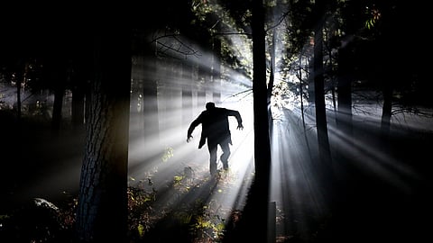 Image used for representational purposes (Source: Pixabay)