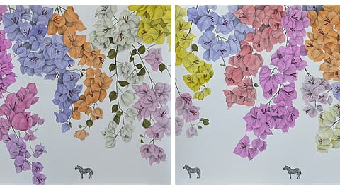 Phaneendra Nath Chaturvedi's The Bougainvillea Flower 