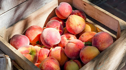 Peach perfect your skin this summer! 