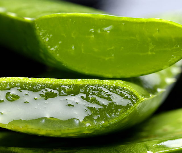 aloe vera shea butter cream Shea & aloe rich creme, perfect from head to toe!  Oyin Handmade