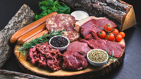 Things you need to consider before embarking on a carnivore diet
