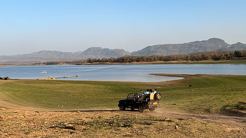 Here’s where you can spot royal Bengal tigers in Madhya Pradesh with the royalty of Bhopal while savouring the lost recipes of their family