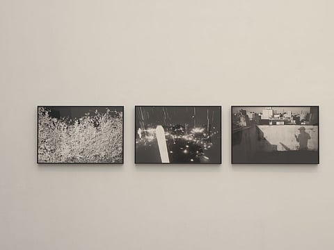 Photos from Sathish Kumar's series, Sunlight