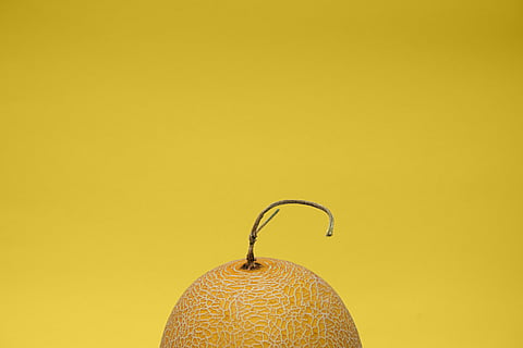 5 Indian melons you should try this summer