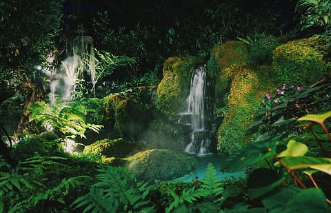 5 rainforest retreats that offer more than just views