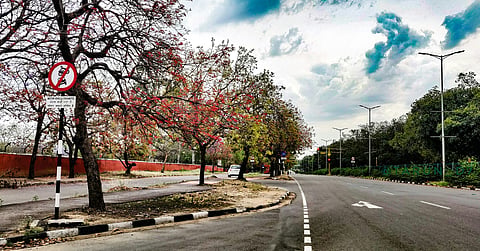 These 5 Indian cities are surprisingly walkable—and full of everyday charm