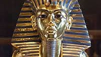 Ancient curse to modern cure: Pharaoh's fungus fights cancer