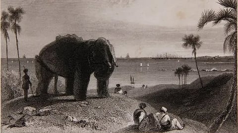 Google Arts and Culture adds Mumbai’s Elephanta Caves to its immersive experience collection 