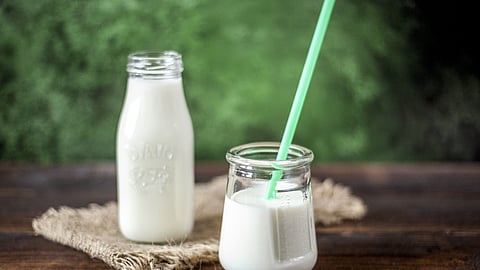 Why are so many Indians lactose intolerant?