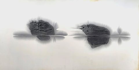 Rahul Inamdar's solo show in on at Threshold Gallery, New Delhi 