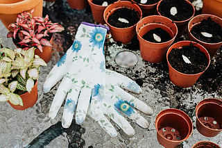 4 things every gardener should do before fall