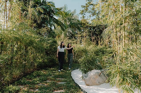 Singapore welcomes the world's first outdoor Bamboo Grove located within an airport!