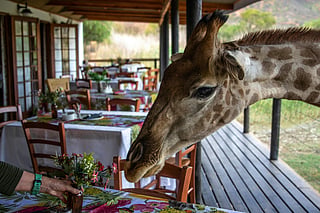 4 jungle resorts redefining culinary luxury