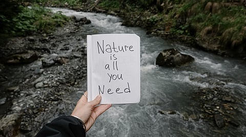 How are forest journaling and art related? 