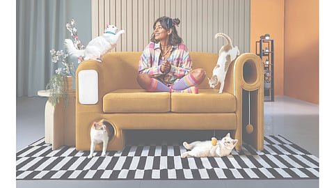 The Purr-fect Couch is a sleek, design-forward sofa that’s as appealing to humans as it is to their feline housemates