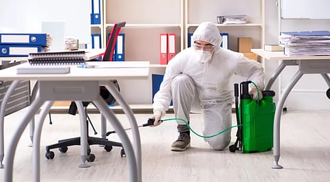 Google's New York office reportedly has a bed bug issue
