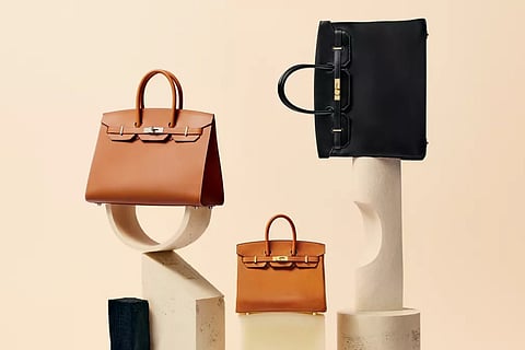 Have you heard of this hedge fund dedicated exclusively to Hermès bags?