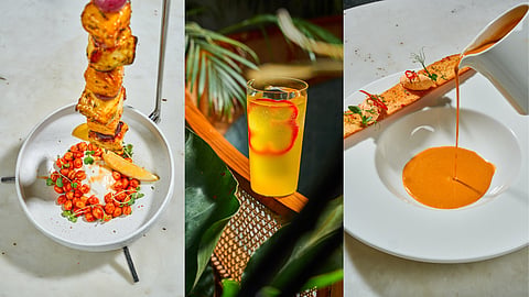 Olive Café and Bar winter menu