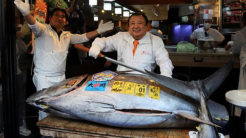 World’s most expensive Bluefin tuna sold for a record $3.2 million