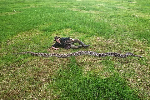 Indonesia’s 7.22 m python Ibu Baron