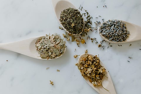 Can common herbs cure diabetes? Experts suggest which herbs can be beneficial