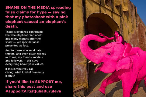 Viral Pink Elephant photographer issues an online petition for herself; claims the animal died out of old age