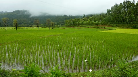 5 folktales from Bengal where rain is the ‘main character energy’