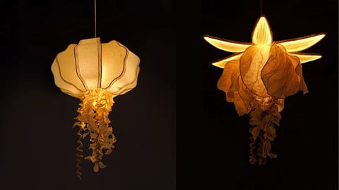 The Amara collection by Ashni
explores transformation, texture and nature through light