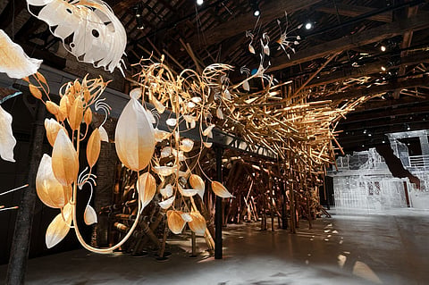 India Pavilion launches at 61st Venice Biennale: Here’s what you need to know