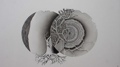 Jyoti Tyagi’s latest exhibition in Delhi spotlights nature in primal form