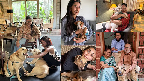 The rescue and adoption platform founded by Bhavna Aggarwal