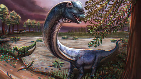 Nagatitan Chaiyaphumensis