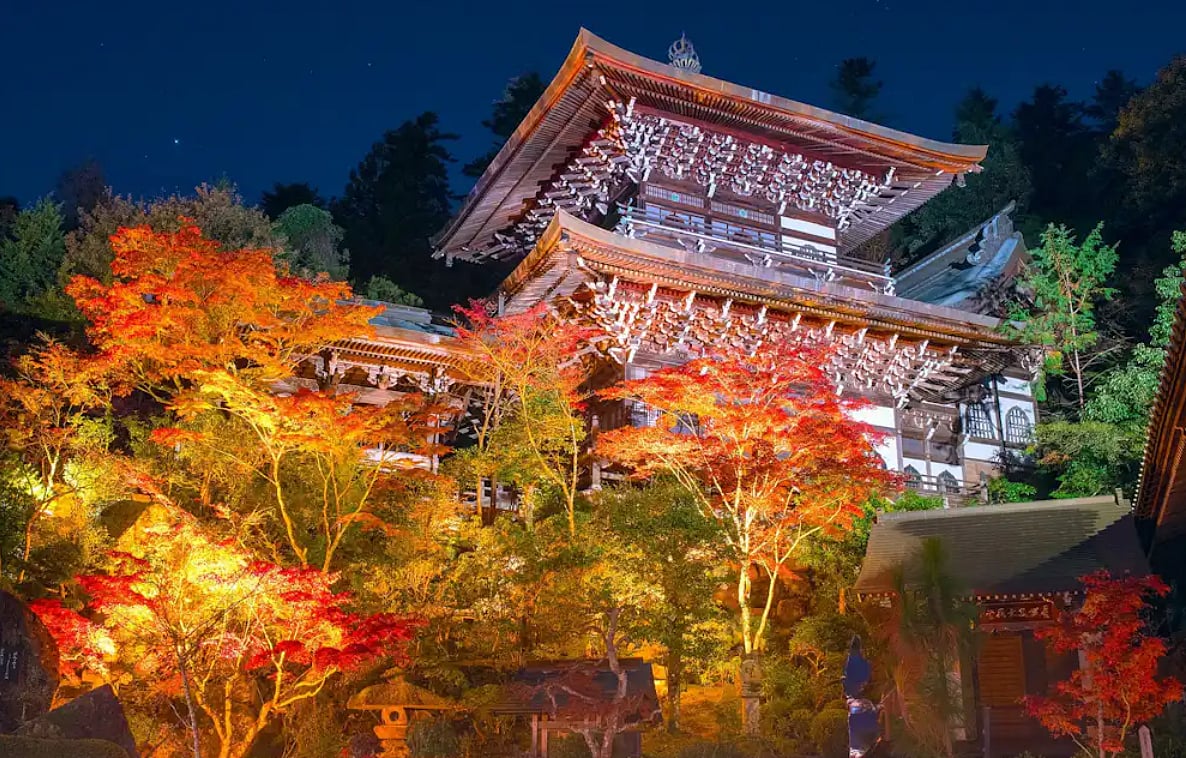 Sacred 1,200-year-old flame survives after fire ravages ancient temple hall in Japan