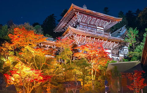 1,200-year-old 'sacred flame' temple in Japan destroyed by fire