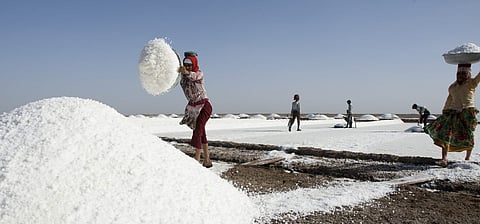 Decades of wading barefoot in hyper-saline groundwater, Agariyas go through severe bone calcification