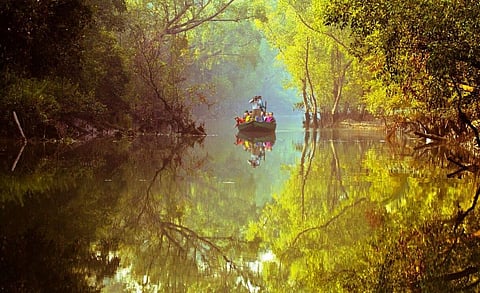 Centuries-old wellness practices of Eastern India