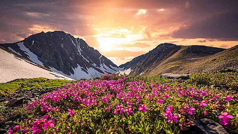 Best Valley of Flowers Uttarakhand itinerary