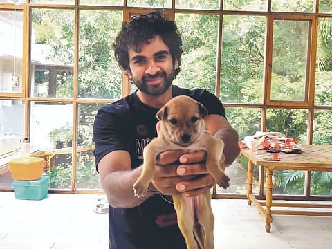 Pawga brings shelter animals to the mat