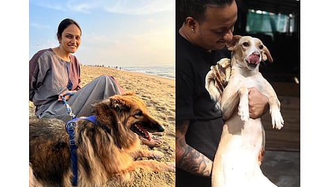 J.A.W.Z. Animal Welfare Zone, Adyar